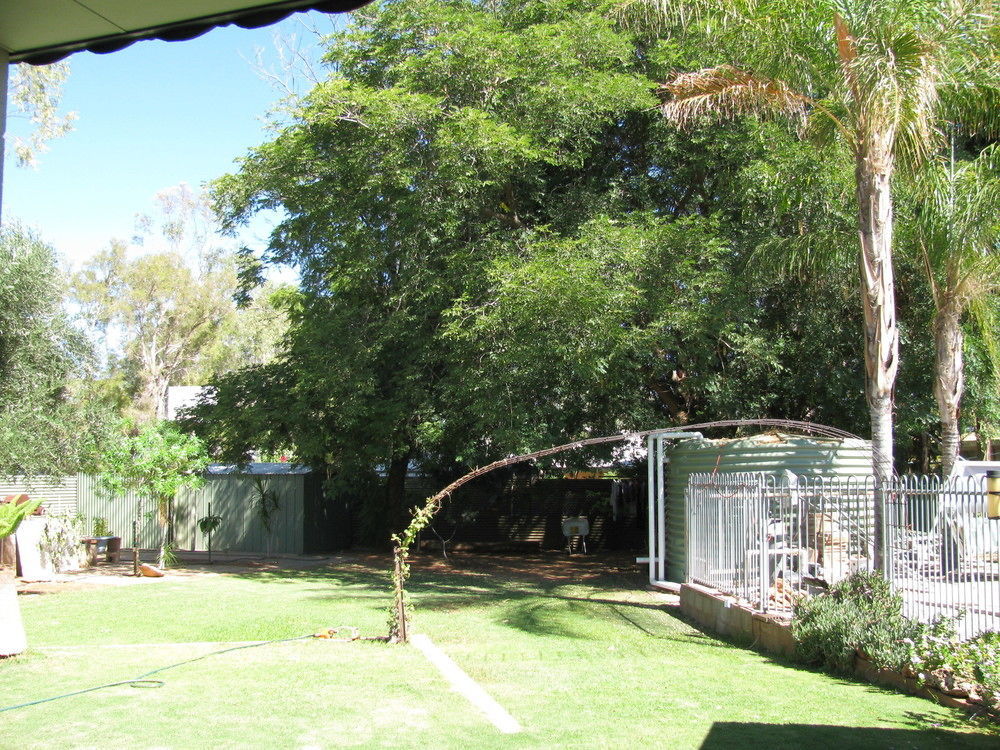 Kathys Place Bed And Breakfast Alice Springs Exteriör bild